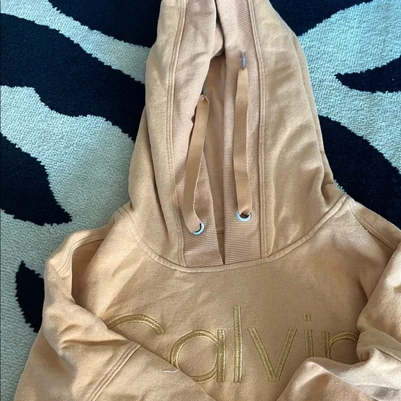 Calvin Klein Beige Hoodie and Joggers Set - Picture 16 of 16